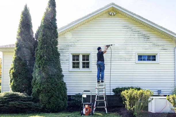 Best Fence Pressure Washing  in Lakeland, MN
