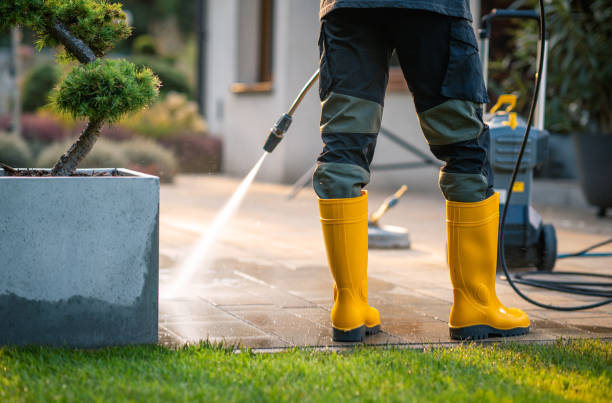 Best Power Washing Near Me  in Lakeland, MN
